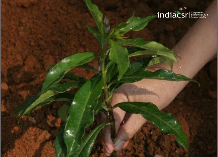 India CSR
