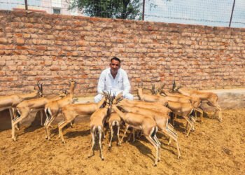 Introducing the winners of Earth Heroes Awards 2021