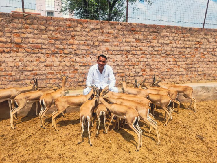 India CSR