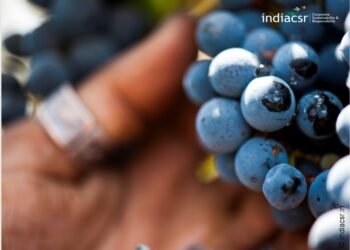 Sula Vineyards Joins International Wineries for Climate Action (IWCA)