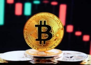 Bitcoin vs Fiat Currencies: Understanding the Differences