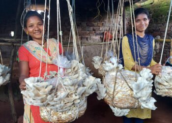 CSR: 150 Farmers of Kalahandi and Rayagada move forward, supported with Utkal’s UANAT Project