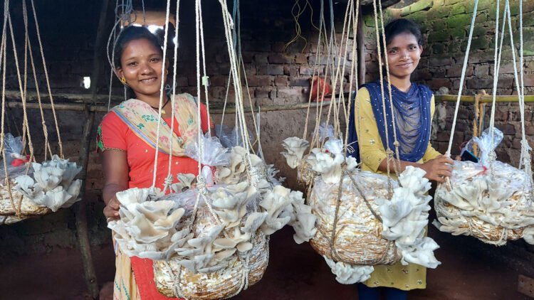 India CSR