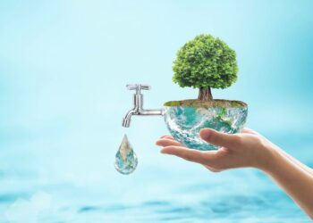 10% of Water Action Plans of large cities should come from public private partnerships’ says D Thara