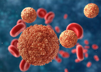 Healthcare: What is Zika Virus? Know Symptoms, Causes, Prevention and Treatment