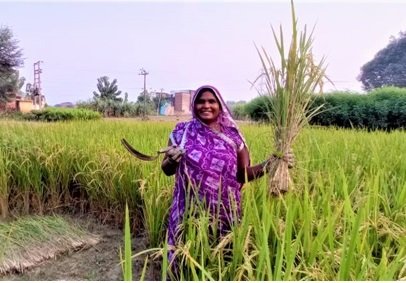 Quick Reforms needed for Agri-sector – the need of the hour!
