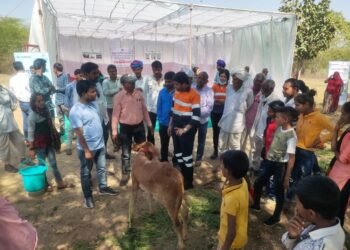 Hindustan Zinc organizes Calf Rally at Malikheda Village in Dariba