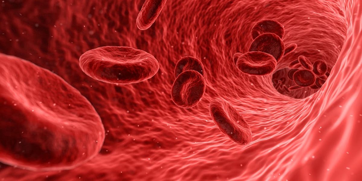 Odisha Adopts New Strategy for Anaemia Reduction Among Women, Children 1 Odisha Adopts New Strategy for Anaemia Reduction Among Women, Children