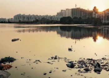 Private players line up to clean lakes under CSR