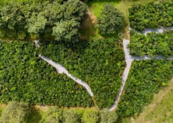 ESG: Ashok Leyland plant 7.35 lakh trees and build 17 water harvesting ponds