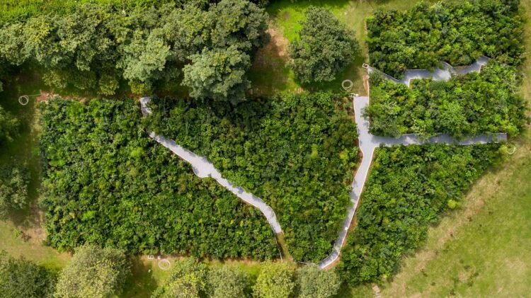 Dense forest in Hosur which has 8200 trees spread over 2550 sq. m.