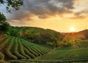 CSR projects worth Rs. 2 cr in Assam’s Darrang district by Coal India