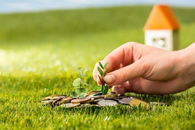 Plant growing in coins glass jar for money against green grass. Saving and investment financial concept for new house. Image: India CSR