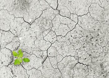 Climate Action – Priority Areas for ESG and Sustainability in India