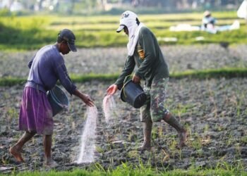 Loopholes in fertilizer policies, AD Singh RJD proposes true Atmanirbhar plan