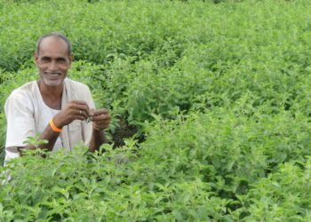 Himalaya supports 800 small and marginalised farmers through contract farming