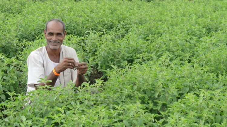 India CSR