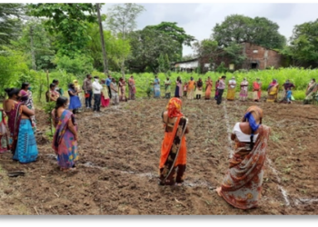 CSR: Atul Nutrition Garden project: A case story