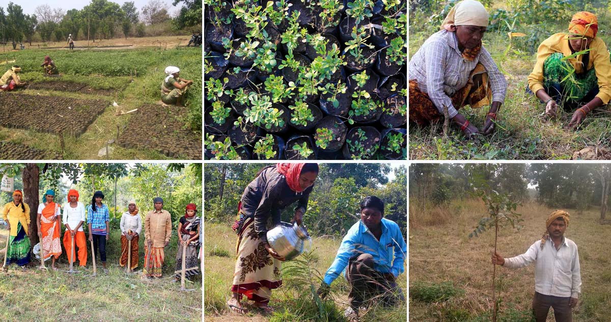Kanha-Pench Corridor. Photo: India CSR