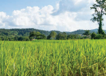 ESG and Sustainability: Nestlé India invests in the planet through sustainable operations across the value chain