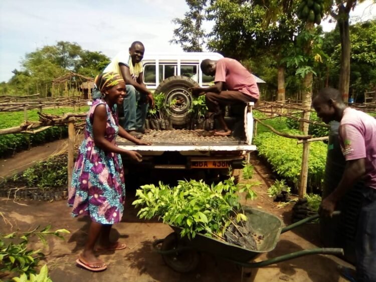 Tree Plantation Project in Uganda. Photo: India CSR