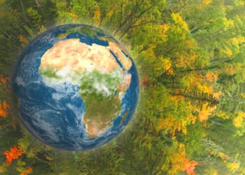 Environment: Applying  Newton’s Law for a Healthy Planet and Life