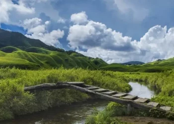 Only 8 Cr. CSR funds spent in Nagaland, Centre tells Rajya Sabha