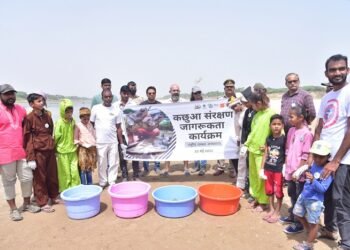 CSR of Turtle Ltd: Releasing hundreds of critically endangered Turtle hatchlings into the Chambal river