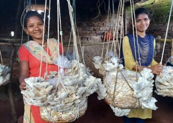 CSR: UAIL’s Project UANAT transforming lives of farmers in Odisha