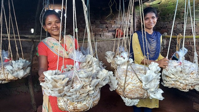 CSR: UAIL’s Project UANAT transforming lives of farmers in Odisha 1 India CSR