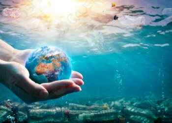 Sustainability in India