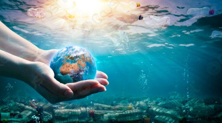 Sustainability in India