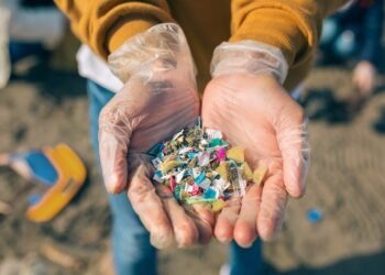 What are microplastics?