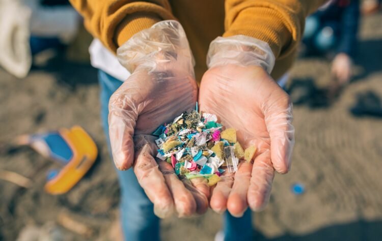 Photo Credit: Plastic Collectors