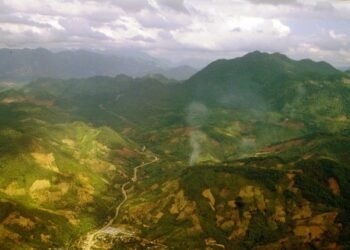 Biodiversity preservation imperative must move from large-scale credible action