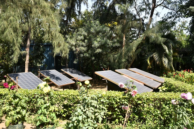 SDGs: Tata Steel works to mitigate effect of desertification and drought in its operating areas 1 India CSR