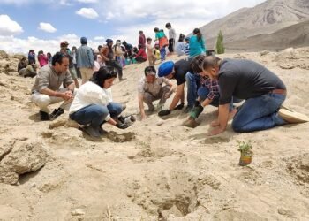 CSR: PwC India Foundation plants 14,000 saplings in Leh, Ladakh
