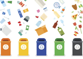 Responsible Consumption: An electronics retailer’s dilemma