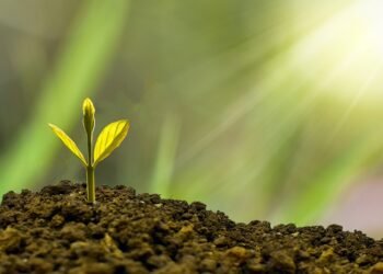 Goldman Sachs, Citi, Fidelity among new firms joining Sustainable Trading Initiative