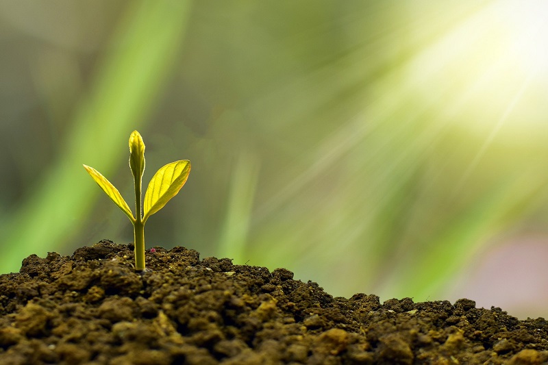 ESG framework for Real Estate operations 1 Photo Source: ESG Today