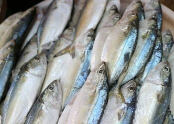 Increased Credit Target for Agriculture and Allied Sector