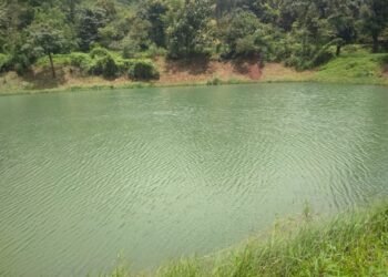 CSR: Dana India enables rural communities with self-sufficiency by rejuvenating water resources back to life