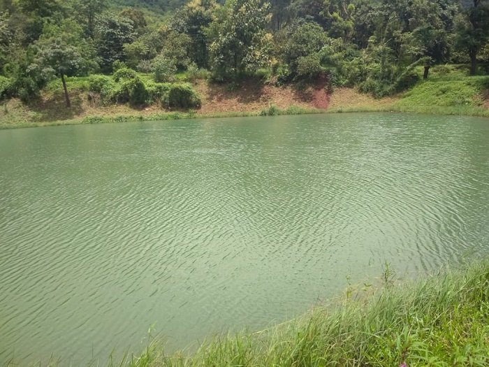 CSR: Dana India enables rural communities with self-sufficiency by rejuvenating water resources back to life