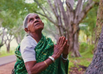 Why did Thimmakka want to plant trees?