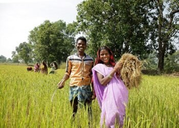 बालको की परियोजना मोर जल मोर माटी से लगभग 2000 किसान लाभान्वित