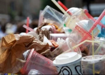 Ban On Single Use Plastic: सिंगल यूज प्लास्टिक की इन 19 चीजों पर पाबंदी, जानिए इन अहम तथ्यों को