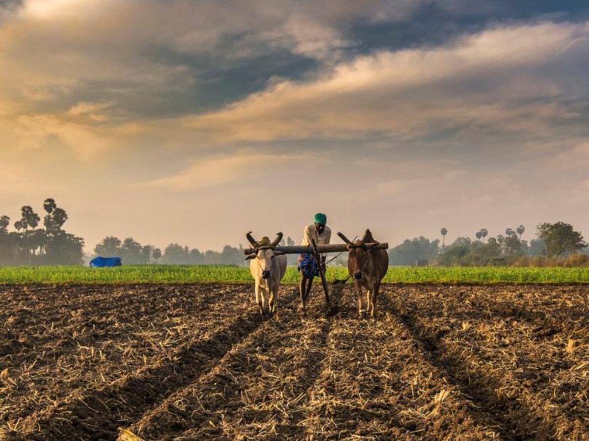 India CSR