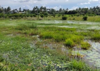 CSR and Sustainability: Intel used 16 billion gallons of freshwater – India CSR