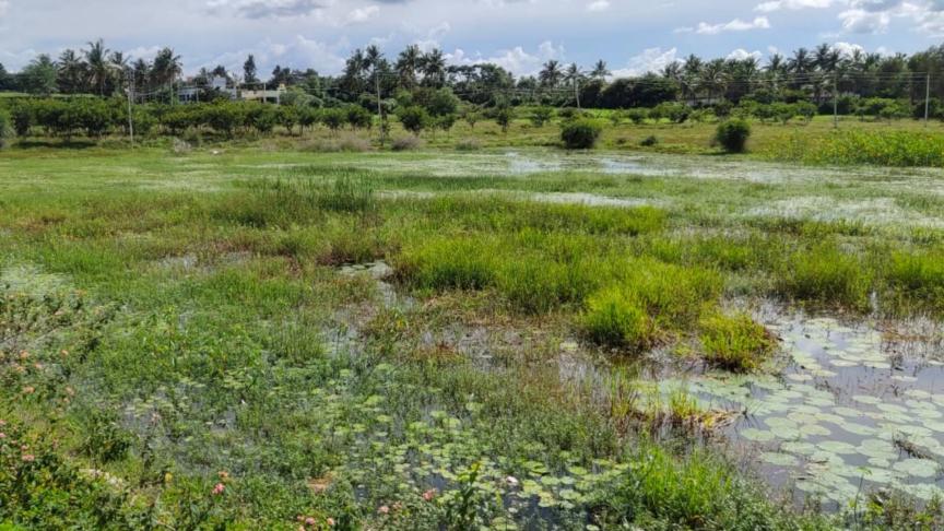 CSR and Sustainability: Intel used 16 billion gallons of freshwater - India CSR 1 Photo Source: Intel