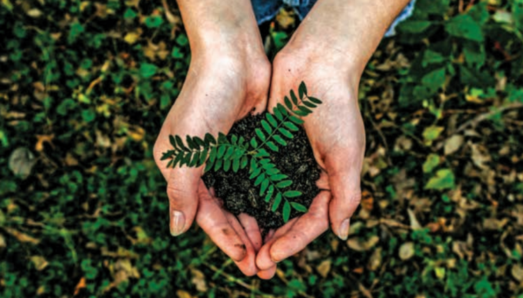 Green India